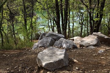 Forest and lake - Mas de Chaussy - Saint Maurice d'Ardeche - Ardeche - France