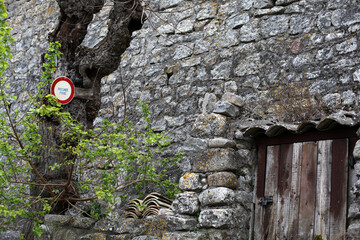 Old wooden door and tree - Balazuc - Ardeche - France