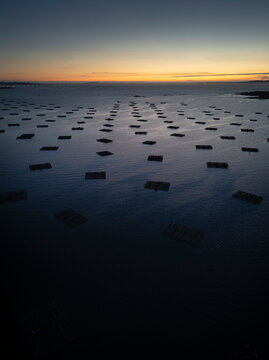 Aerial view of a polygon of pans for mussel cultivation in the R&iacute;a de Arousa at dusk.