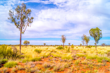 Outback Australien 