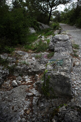 Karstic landscape - Vogue - Ardeche - France