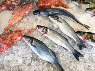 Fresh fish on ice on a market stall