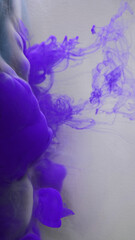 Water acryl art. Chemistry haze. Neon purple blue indigo color fluid smoke cloud paint whirl on defocused white abstract art background. - 780820591