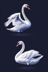 Fototapeta premium A serene image of two white swans on a calm body of water. Suitable for nature and wildlife themes