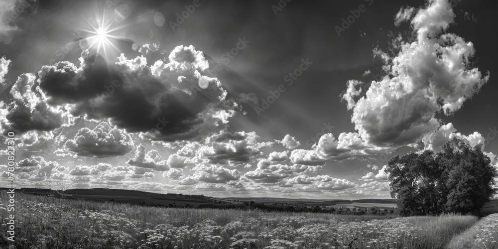 Poster a black and white photo of a field. suitable for various design projects