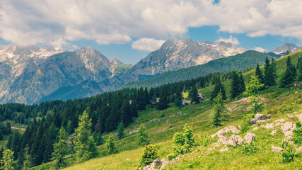 Fototapeta na wymiar Alpine Meadows, Mountain Valley with Trees, Green Grass and Blue Sky with Clouds. Velika Planina, Slovenia