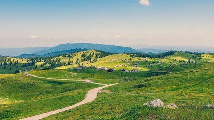 Fototapeta na wymiar Landscape View in the mountains of Big Pasture Plateau or Velika Planina, Slovenia