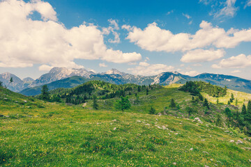 Fototapeta na wymiar Alpine Meadows, Mountain Valley with Trees, Green Grass and Blue Sky with Clouds. Velika Planina, Slovenia