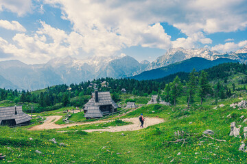 Traditional Mountain Wooden Shepherd Shelters on Big Pasture Plateau or Velika Planina in Slovenia - 780823563