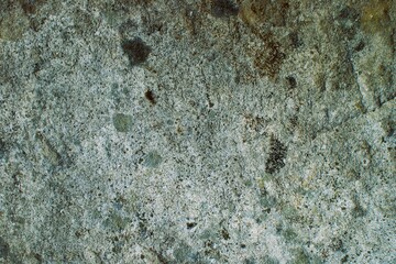Fragment of a mossy old stone. Background texture. High quality photo