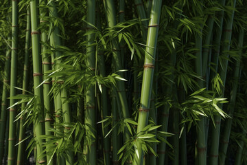 bamboo forest   - Generative AI	