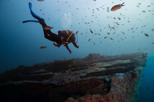 Diver exploring underwater shipwreck surrounded by fish