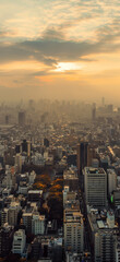 Dynamic Urban Skyline View, Amazing and simple wallpaper, for mobile
