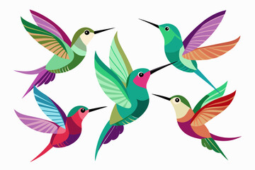 Obraz premium Dainty Hummingbirds vector illustration 