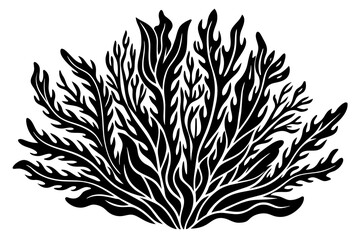 seaweed--vector-illustration