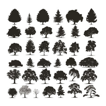 Big collection of tree silhouettes isolated on white background vector illustration