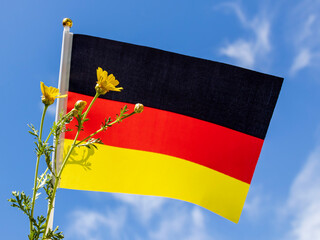 Flag of Germany and yellow flower in front of blue sky with white clouds