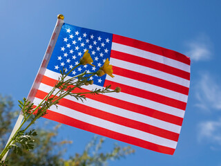 Flag of the United States and yellow flowers in front of blue sky in sunlight