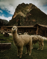 Maravillas de Perú