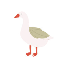 Goose farm bird. Poultry farming, goose eggs and meat products flat vector illustration