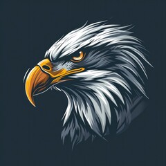 Fototapeta premium Close-up view of an eagle portrait with intricate feather details, set against darkness.