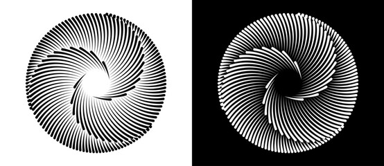 Set of circles with lines. Black spiral on white background and white spiral on black background. Dynamic design element with 3 parts. - 780844138