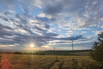 Obraz premium Sunset in the field