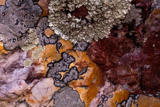 Quartz and silica rock textures with colorful nickel formations