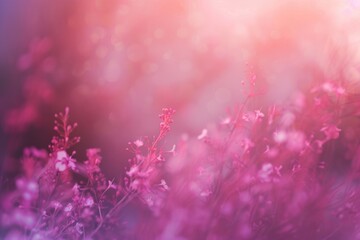 Close up of pink flowers, perfect for nature backgrounds