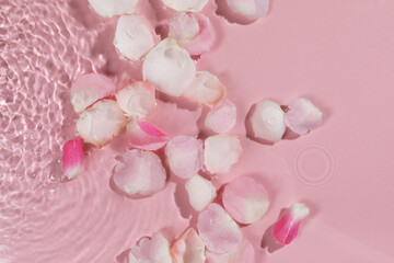 Beautiful rose petals in water on pink background, top view