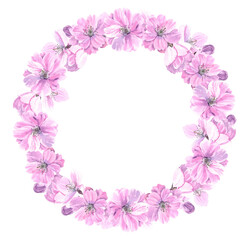 Spring sakura cherry blooming flowers border wreath. Watercolour flower round decor hand drawn illustration. Seasonal. Painted botanical floral elements. Isolated on white background. Greeting cards