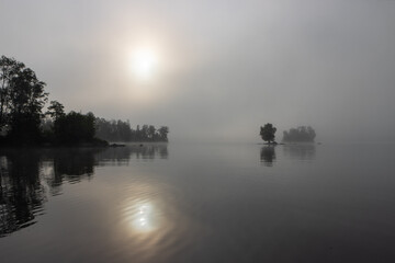 Mystic lake scene with fog and tiny island with single tree in Sweden.