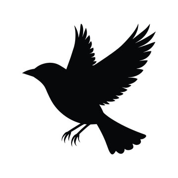 silhouette of a blackbird on white