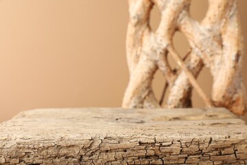 Presentation for product. Wooden podium and braided tree trunk on beige background, closeup