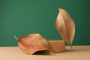 Presentation for product. Wooden podium and dry leaf on color background. Space for text