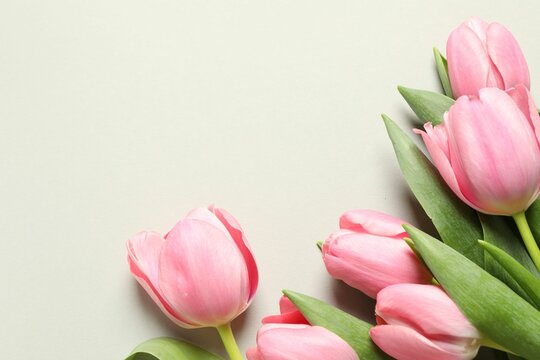 Happy Mother's Day. Beautiful tulips on light background, flat lay. Space for text