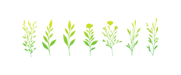 Floral branch and minimalist leaves for logo. Hand drawn line wedding herb, elegant wildflowers. Minimal line art drawing for print, cover or wallpaper