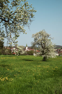 South germany rural landscape spring