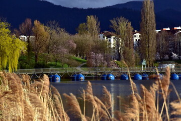 Seepark in Freiburg im Frühling  - 780859775