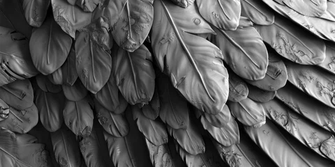 Foto op Plexiglas A close-up shot of a bird's wing, perfect for nature projects © Fotograf