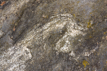 Background of grey and white Migmatite, some spots of yellow lichen on it