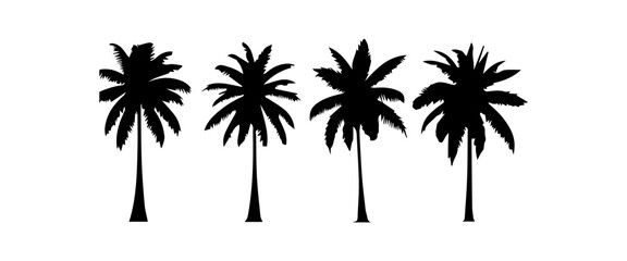 Black palm trees set isolated on white background. Palm silhouettes. Design of palm trees for posters, banners and promotional items. Vector illustration