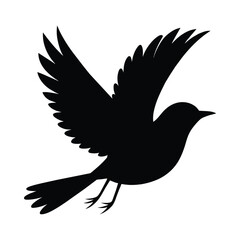 silhouette of pipit bird on white