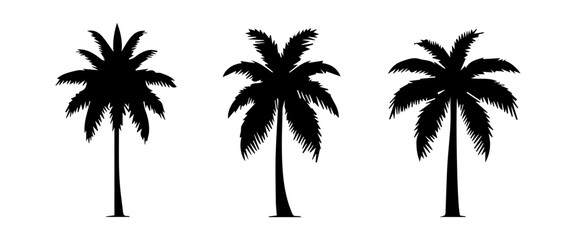 Black palm trees set isolated on white background. Palm silhouettes. Design of palm trees for posters, banners and promotional items. Vector illustration