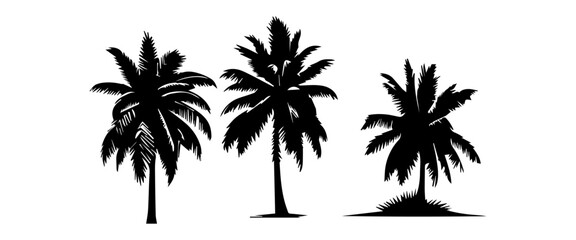Black palm trees set isolated on white background. Palm silhouettes. Design of palm trees for posters, banners and promotional items. Vector illustration