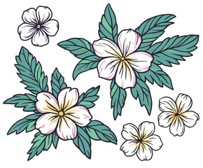 Exotic hand-drawn tropical hibiscus flower illustration with vibrant blooms, palm trees, and ocean waves, perfect for botanical artwork, beach-themed designs, and hawaiian-inspired floral patterns