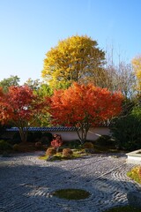 Japanischer Garten in Bielefeld im Herbst