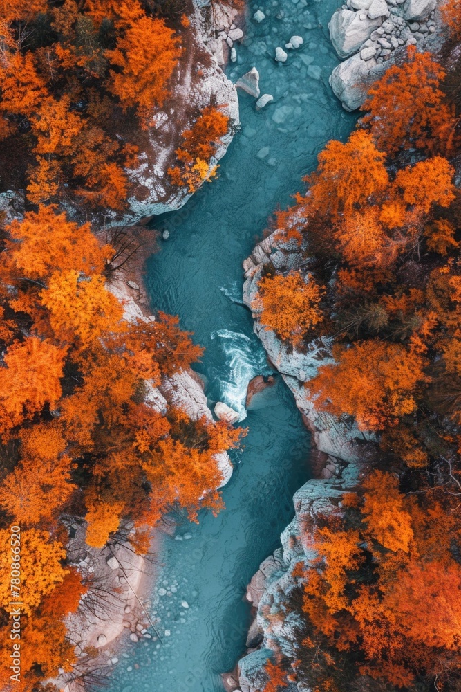 Poster aerial view of a river surrounded by trees, suitable for nature and landscape concepts