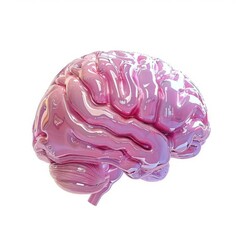Glossy pink human brain model isolated on a white background