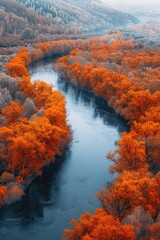 Aerial view of a river surrounded by trees. Suitable for various nature and landscape concepts